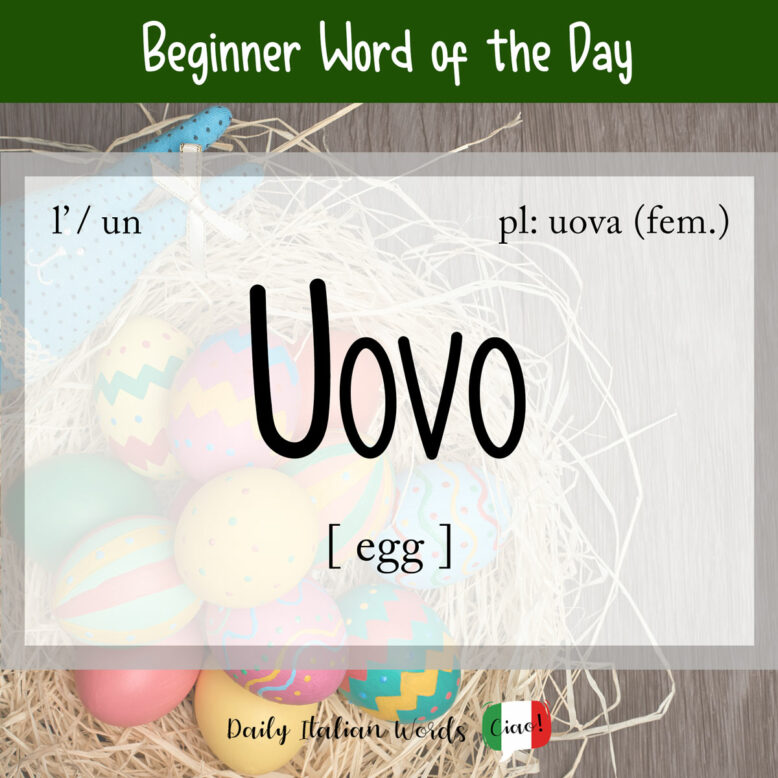 italian word for egg