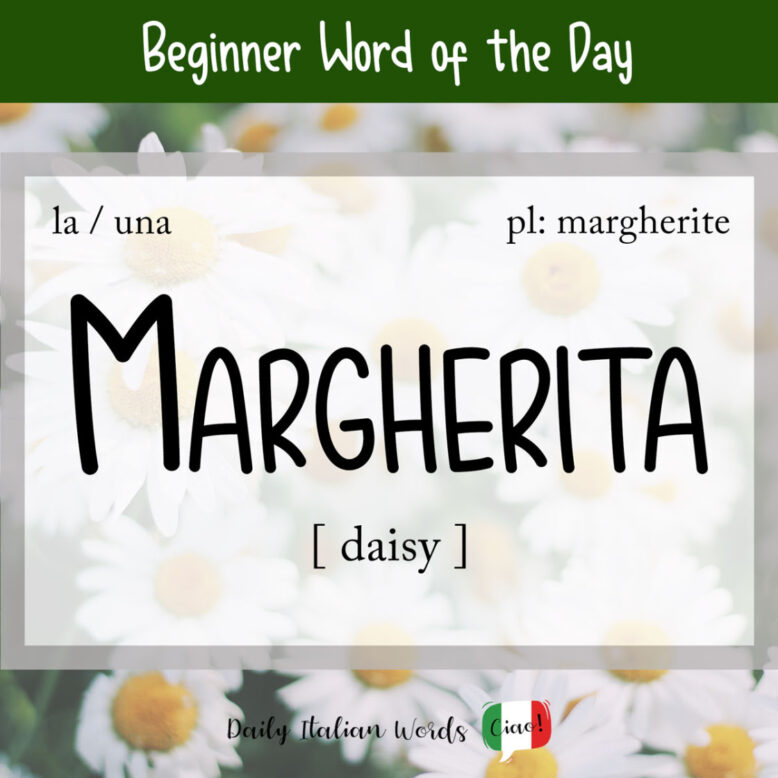 italian word for daisy