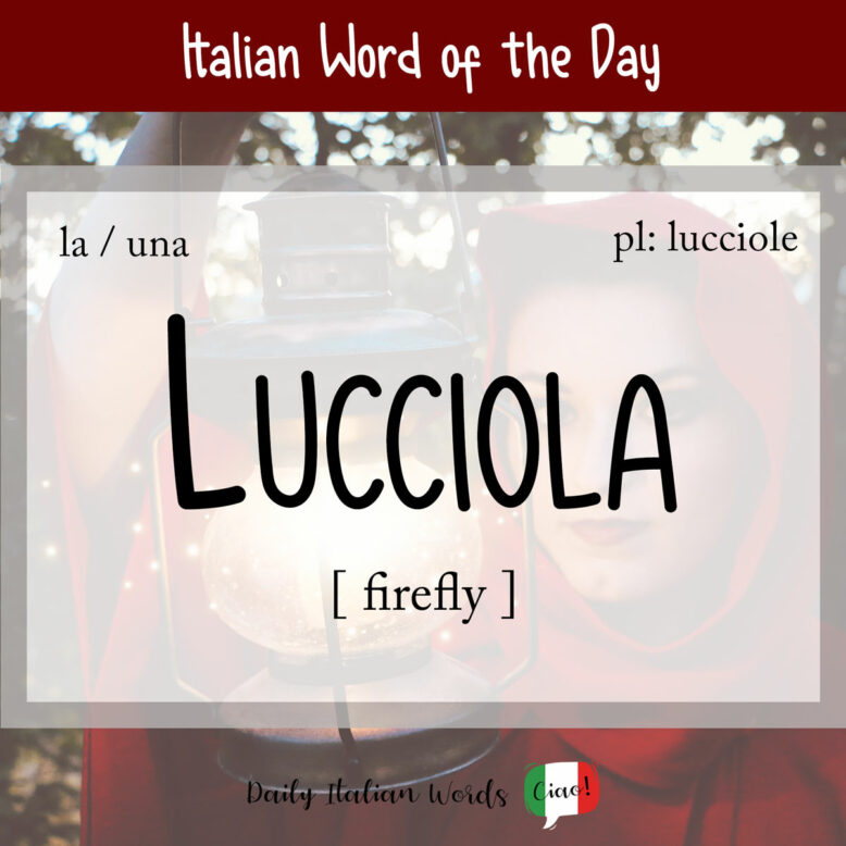 italian word for firefly