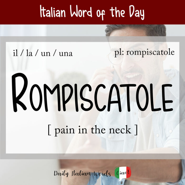 italian word rompiscatole