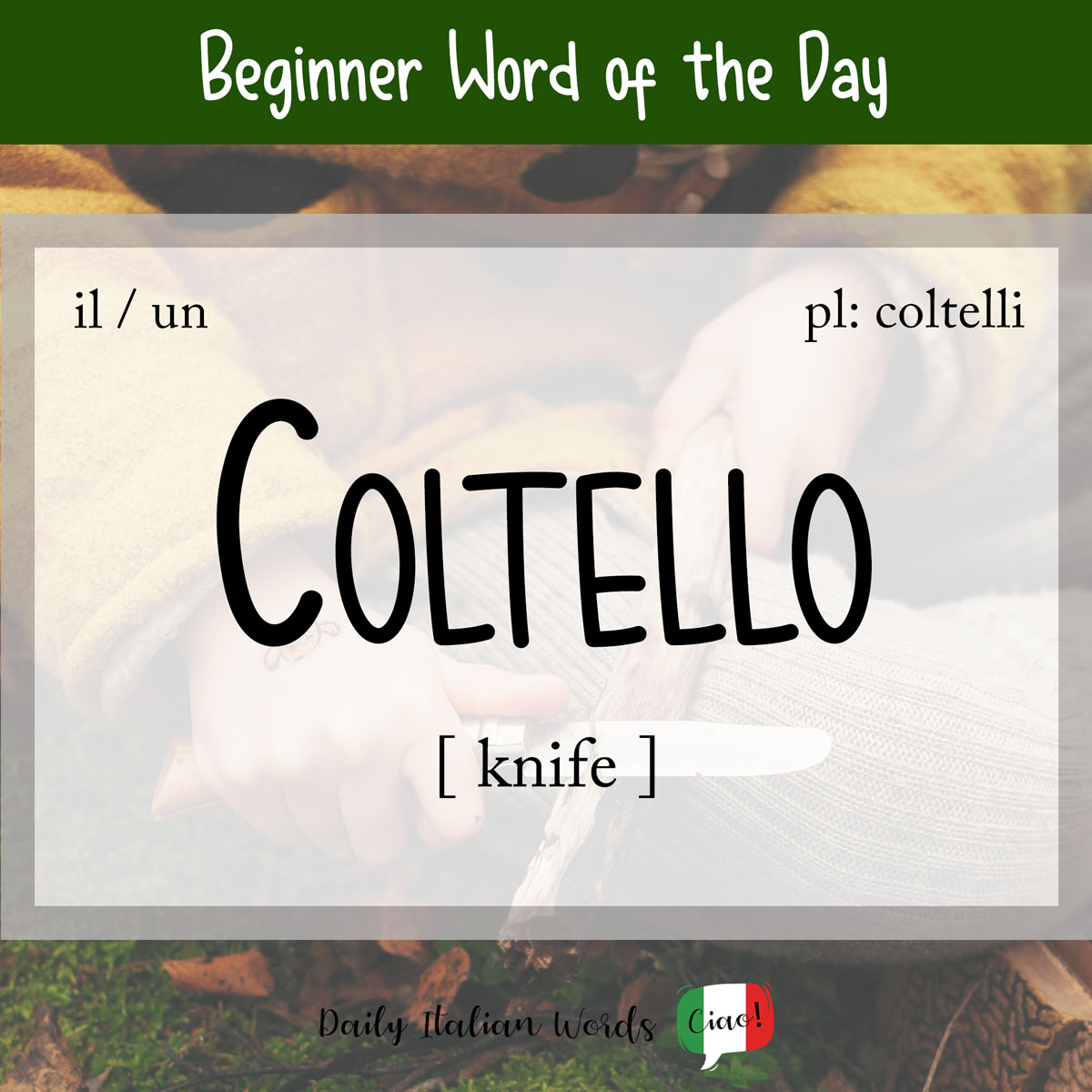 italian word coltello