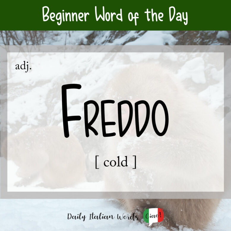 italian word freddo