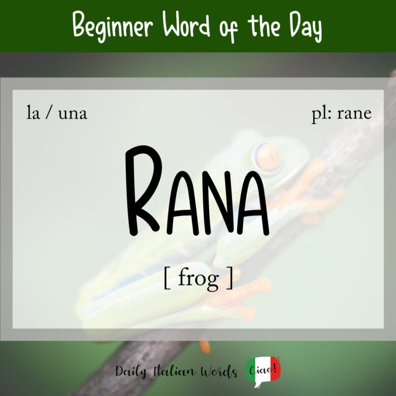 italian word rana