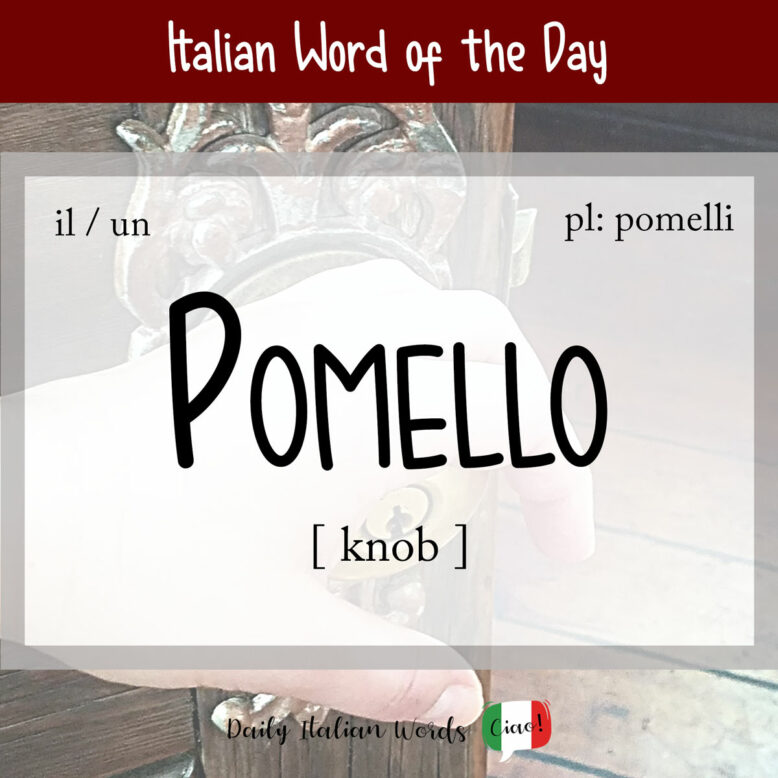 italian word pomello