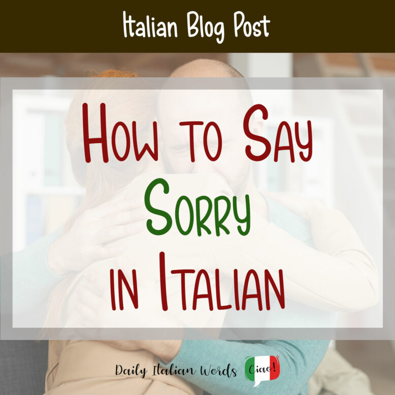 how to say sorry in italian