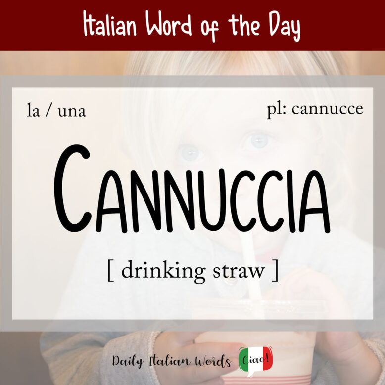 italian word cannuccia