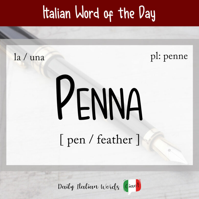 italian word of the day penna