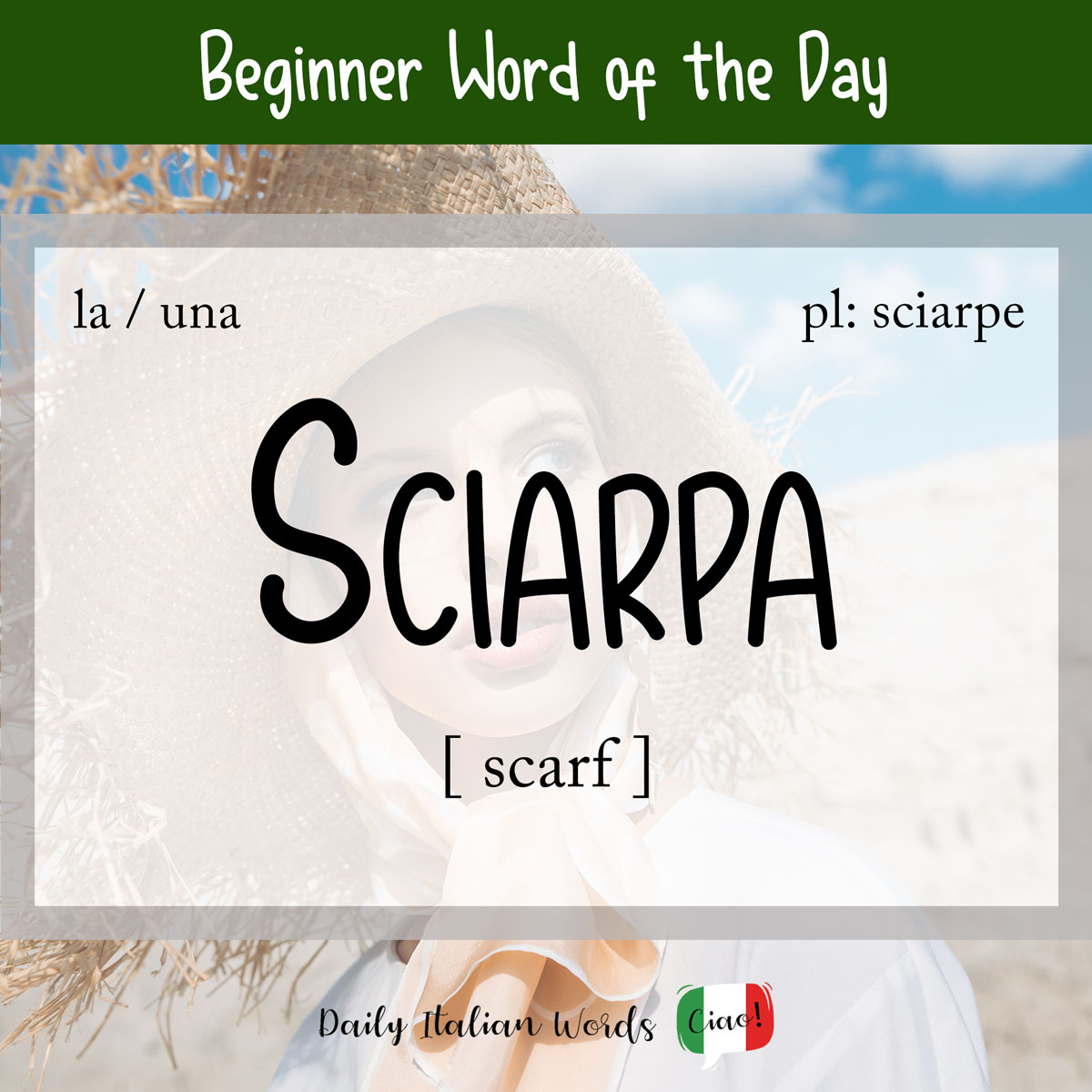 Velocidad supersónica princesa Tiza Italian Word of the Day: Sciarpa (scarf / sash) - Daily Italian Words