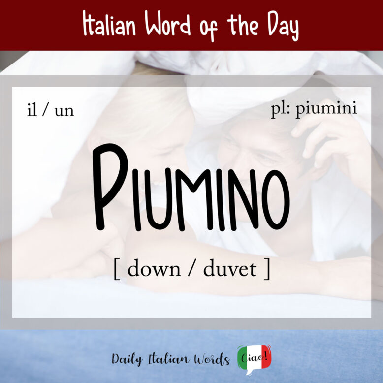 italian word piumino