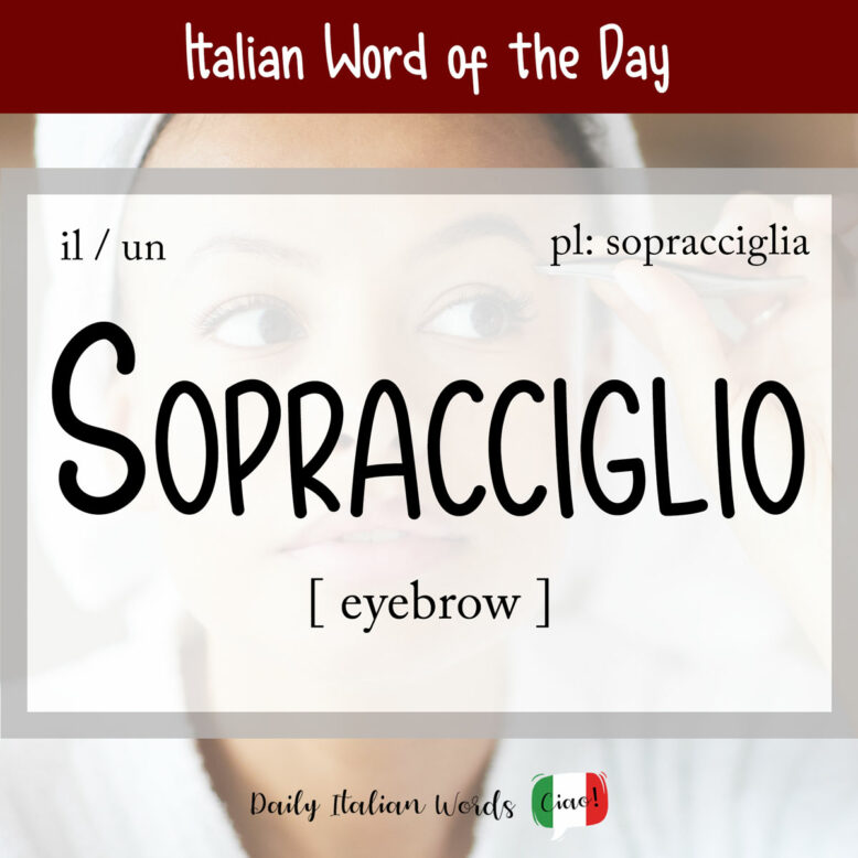 italian word sopracciglio