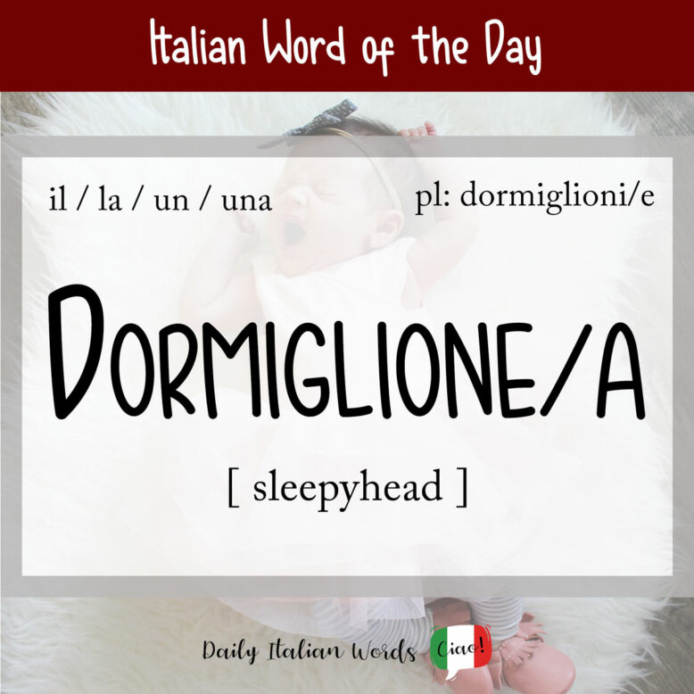 italian word of the day dormiglione