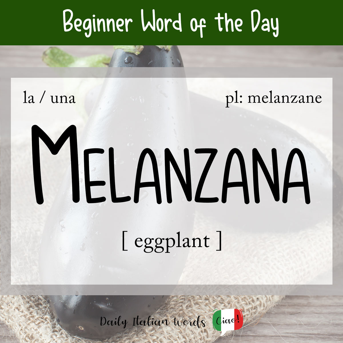 italian word of the day melanzana