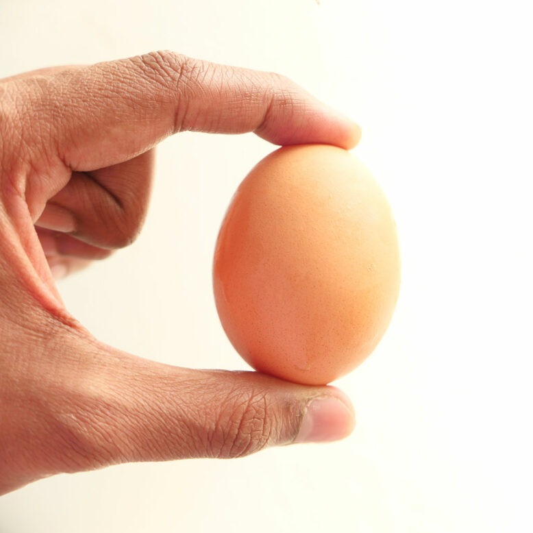 Hand holding egg, isolated on white.