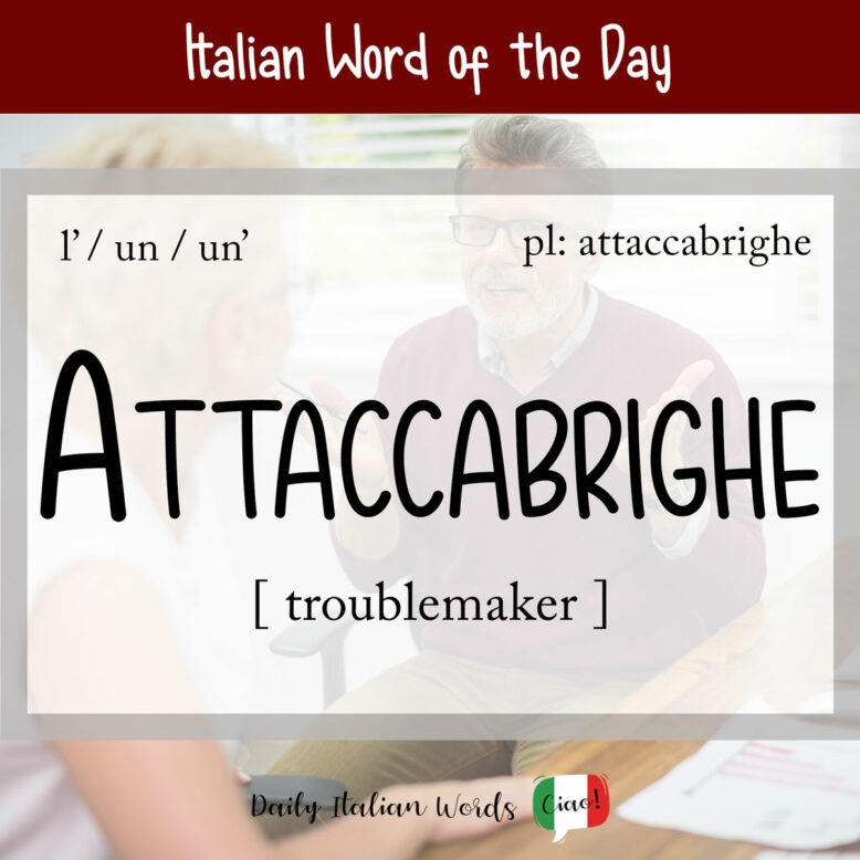 italian word attaccabrighe