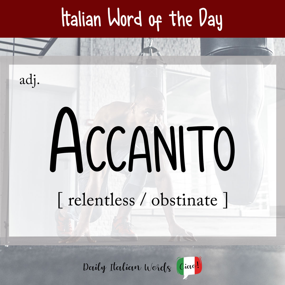 italian word accanito