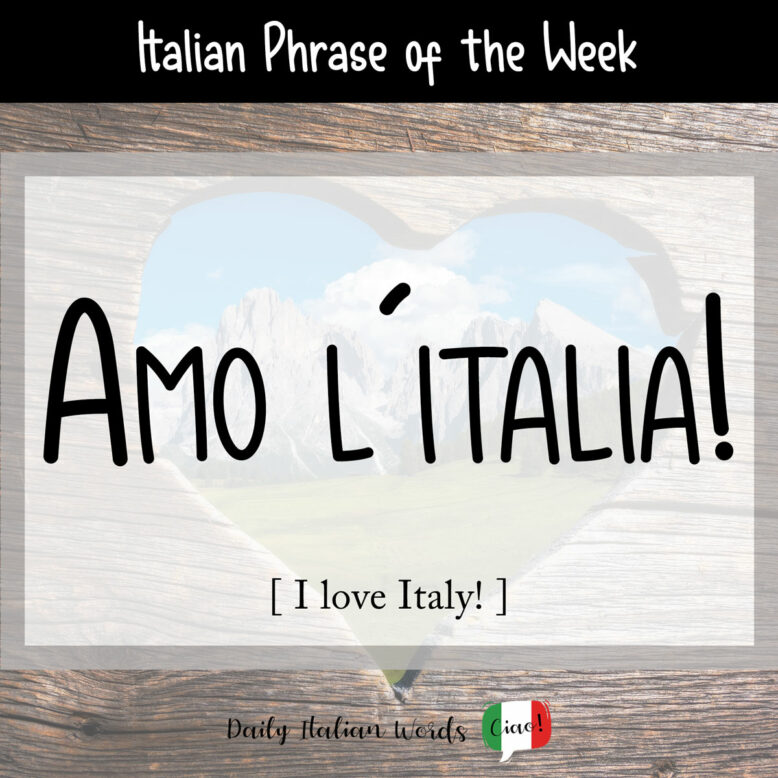 italian phrase amo l'italia
