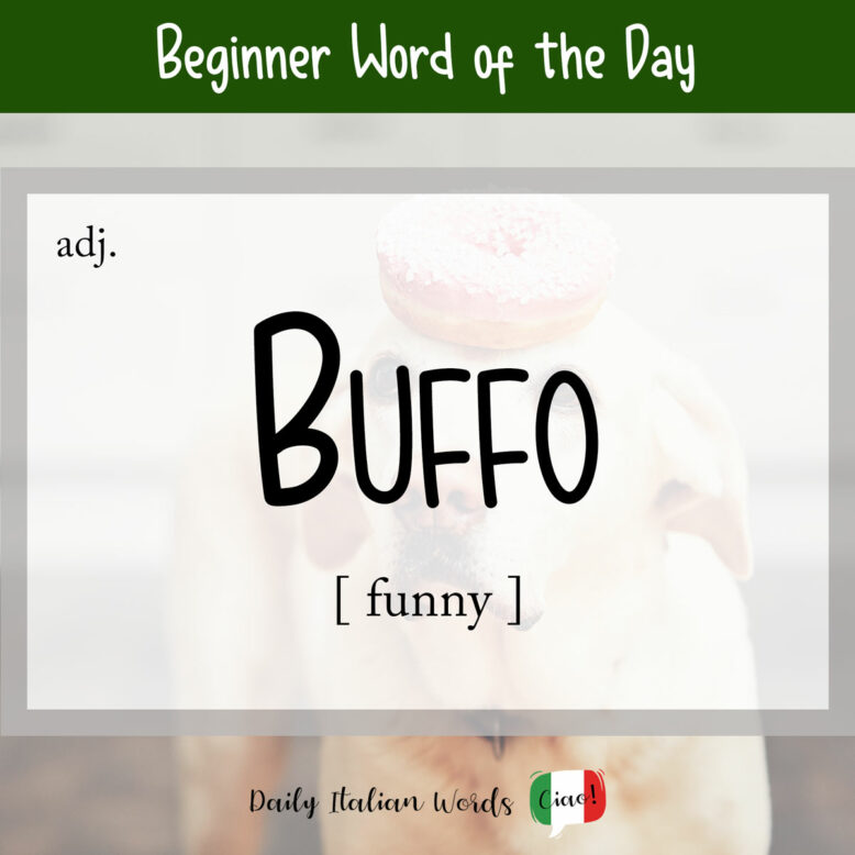 italian word buffo
