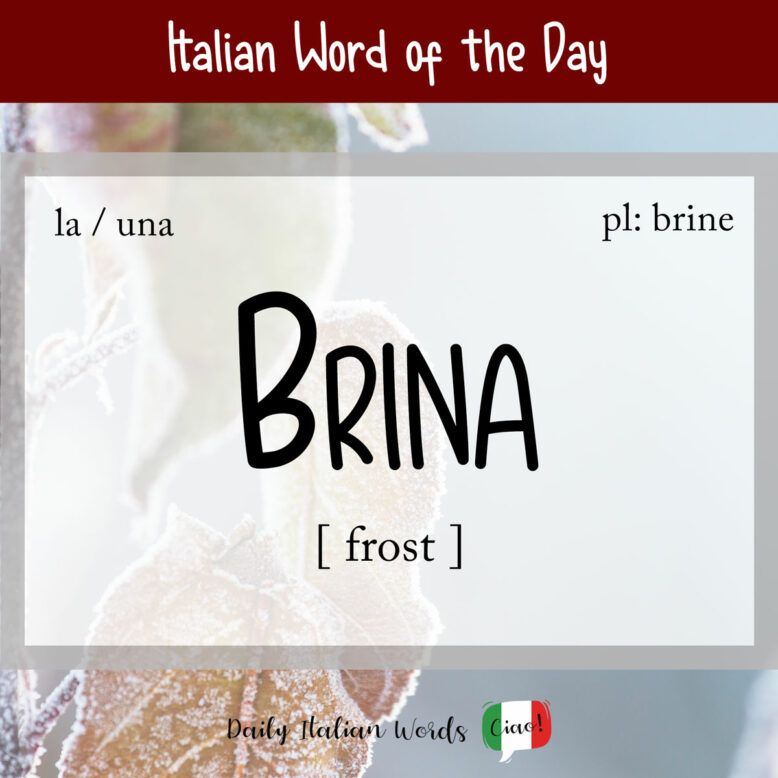 italian word brina