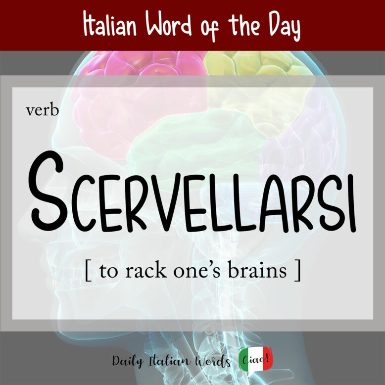 italian word scervellarsi