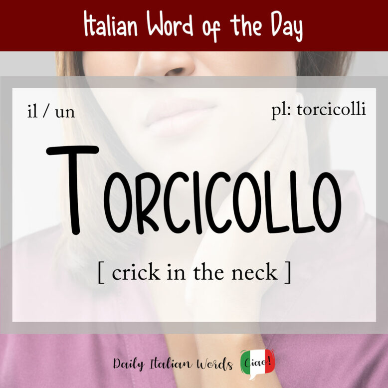 italian word of the day torcicollo