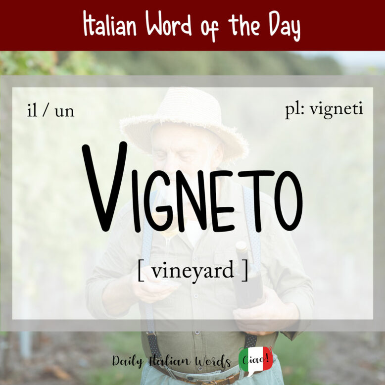 italian word vigneto
