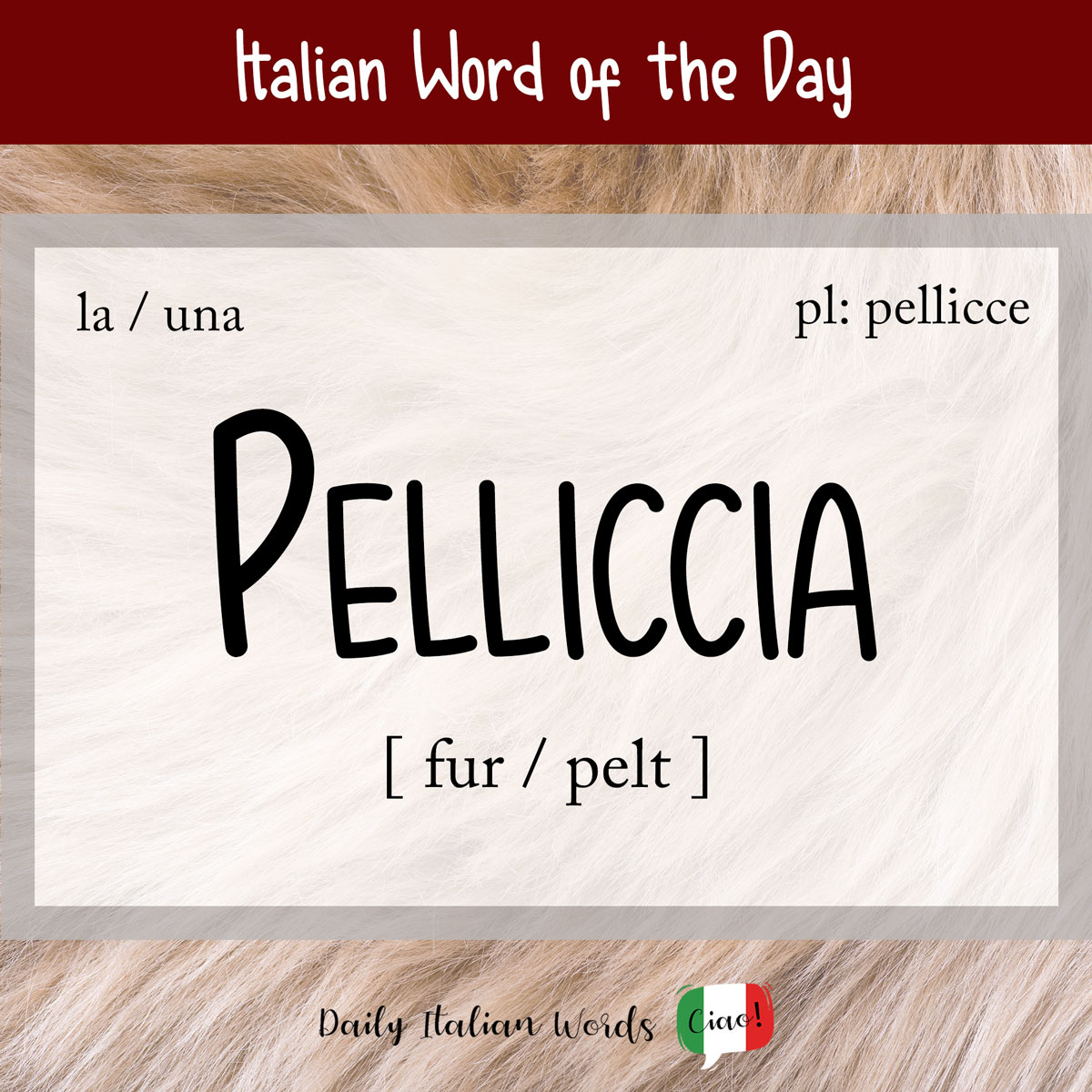 Italian word of the day: Pelliccia (fur/fur)