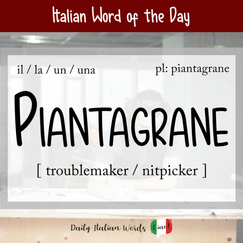 italian word piantagrane