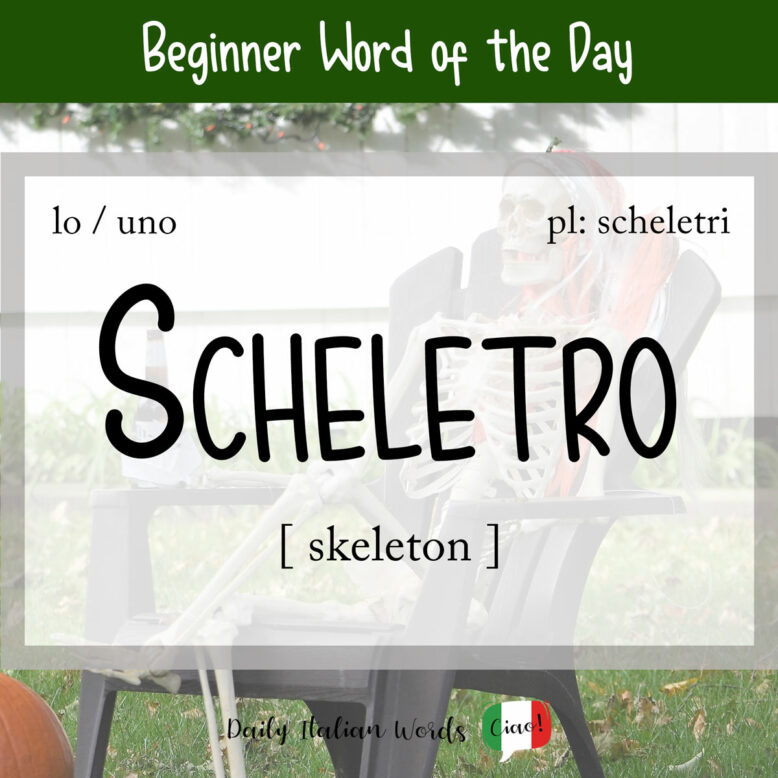 italian word skeleton
