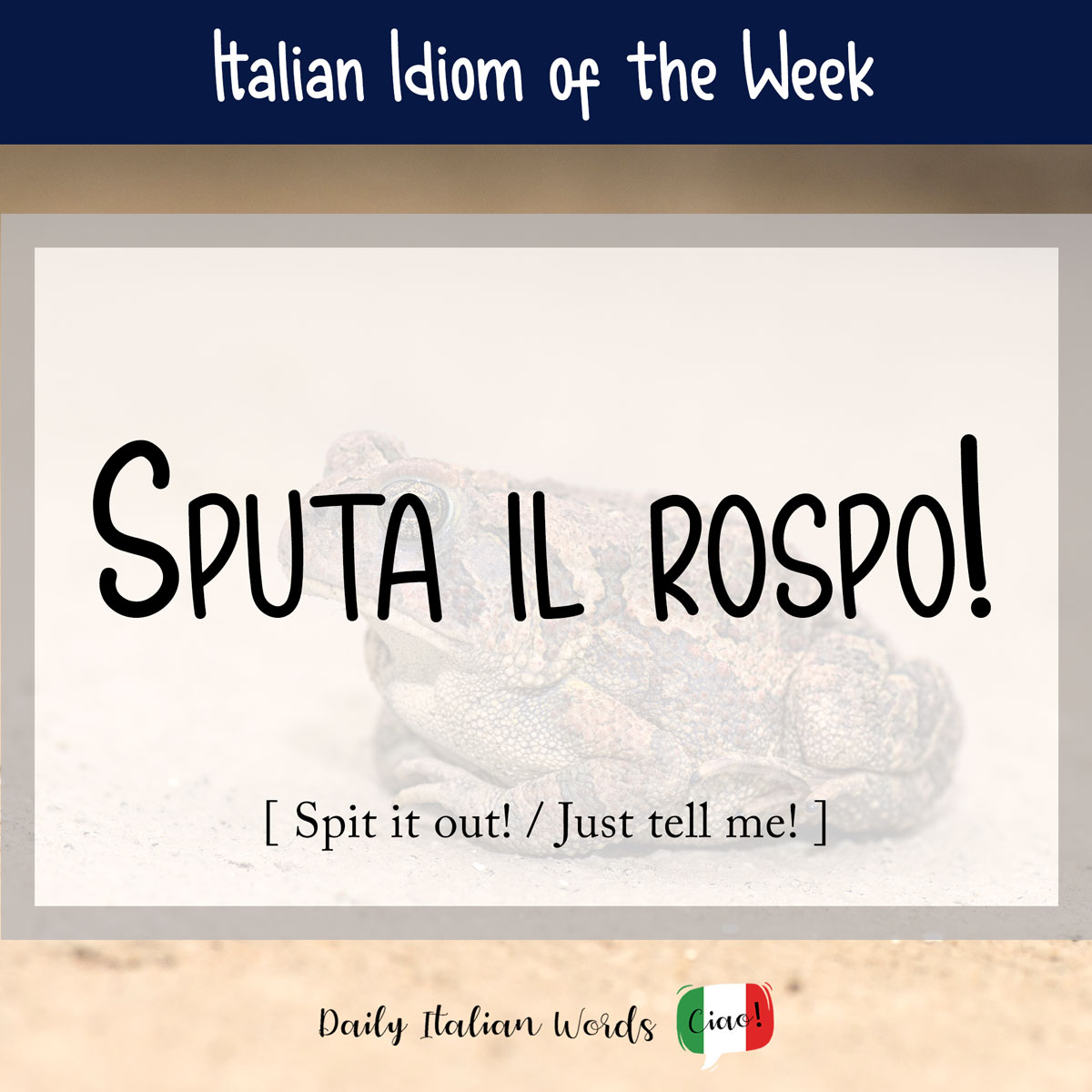 Italian proverb: Spit it out!  (Spit it out!)
