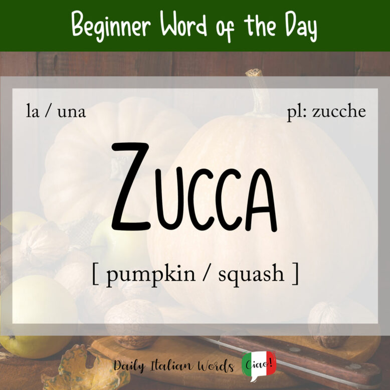 italian word zucca