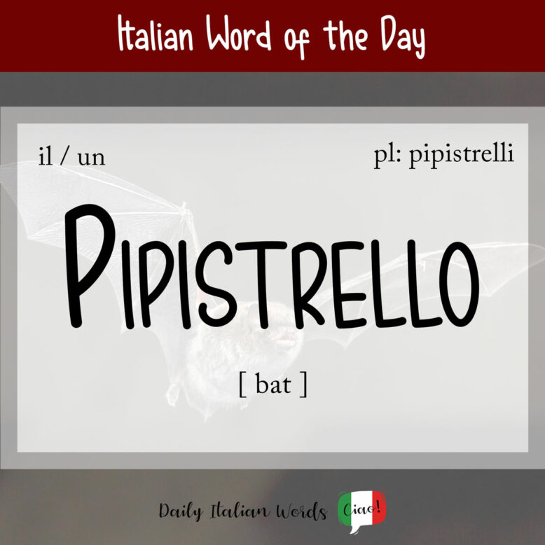 italian word pipistrello
