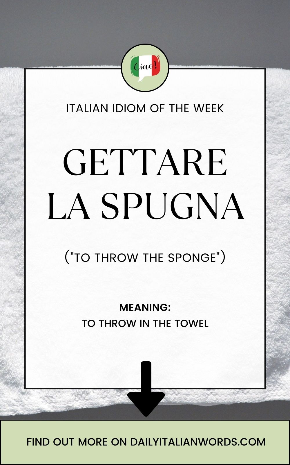 Italian Idiom Gettare la spugna (to throw in the sponge / towel