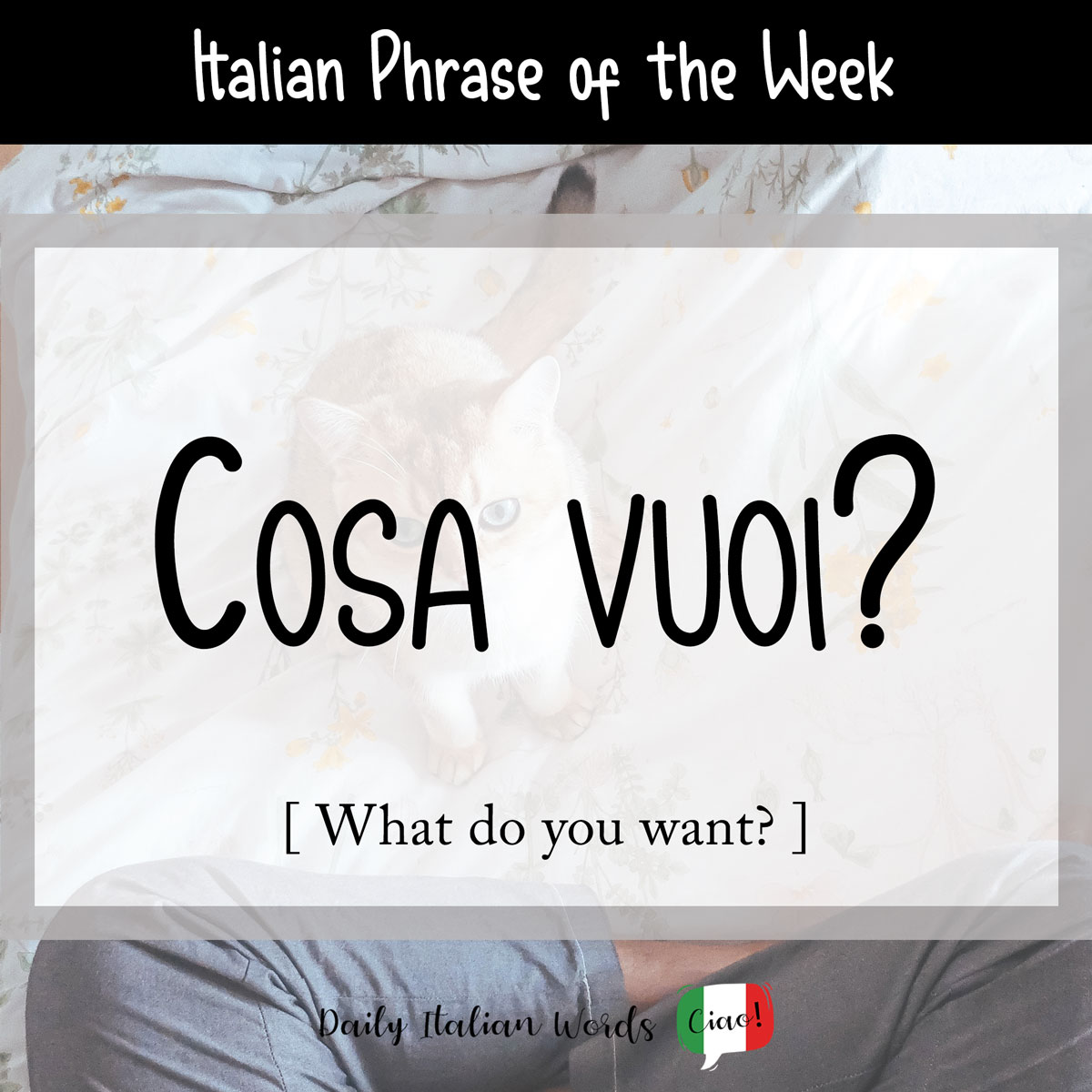 Italian Phrase: Cosa vuoi? (What would you like?)