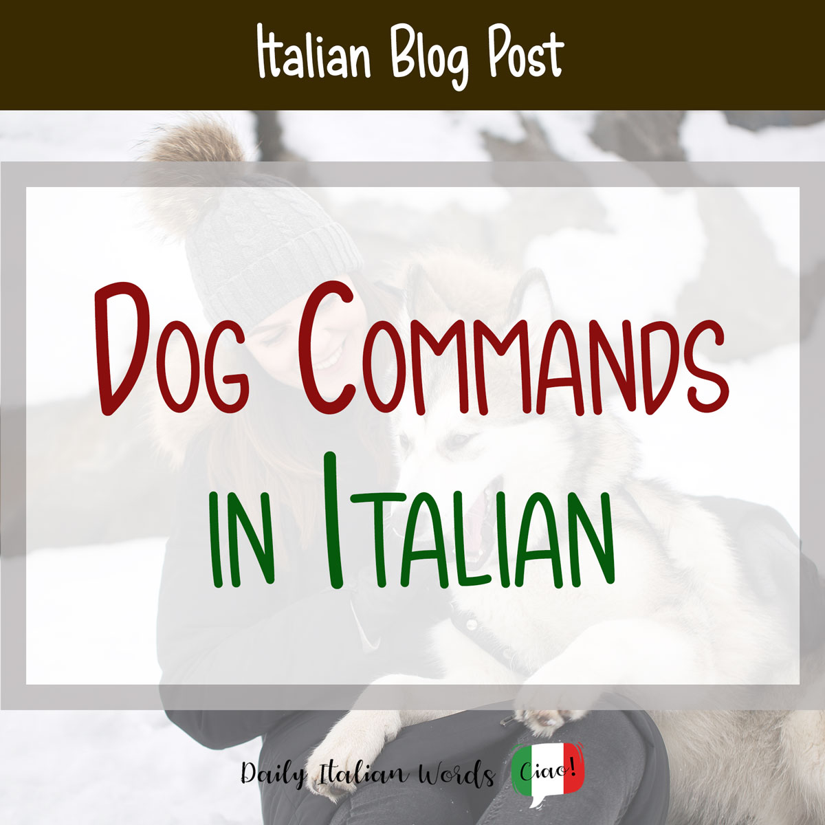 Key Canine Instructions within the Italian Language