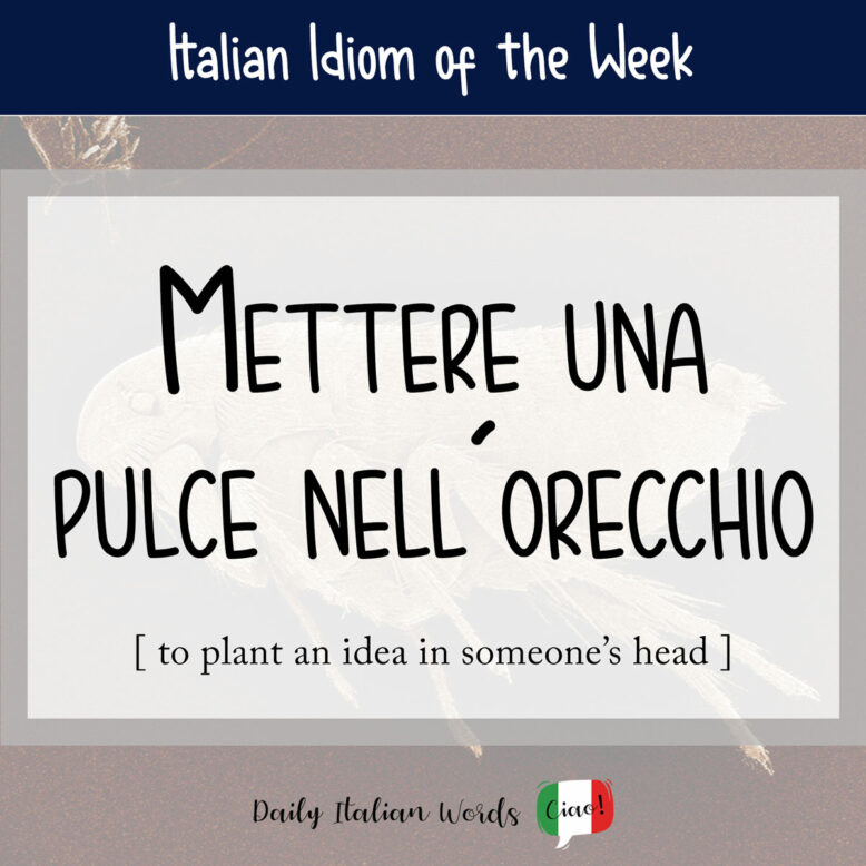 Italian proverb 
