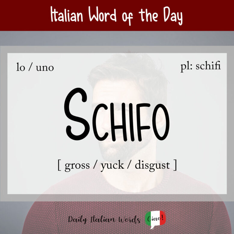italian word schifo