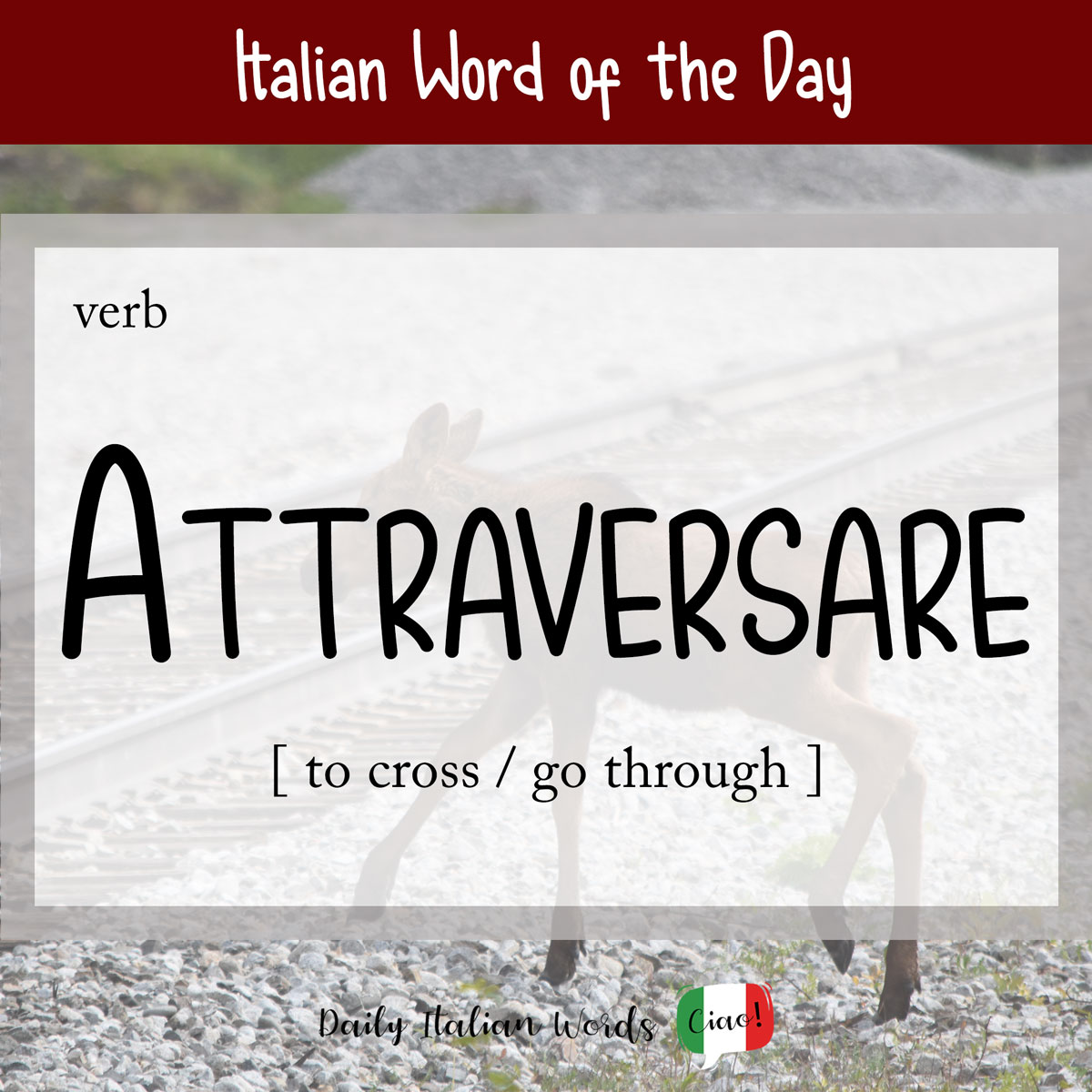 Italian Phrase of the Day: Attraversare (to cross / undergo)