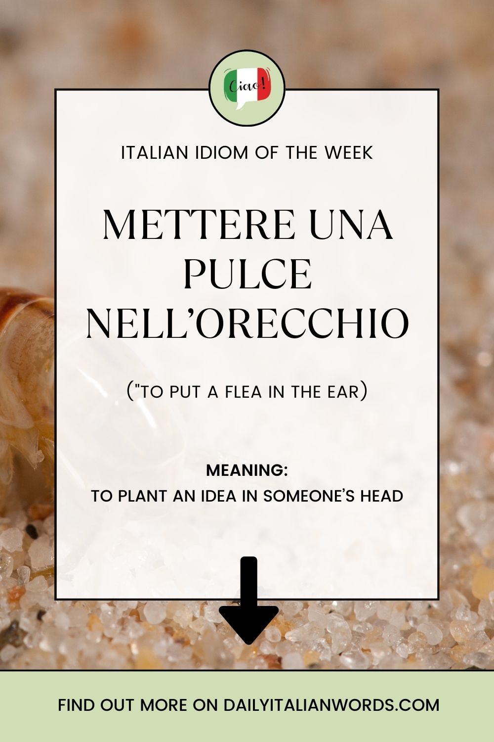 Italian Idiom Mettere una pulce nell'orecchio (to plant an idea in