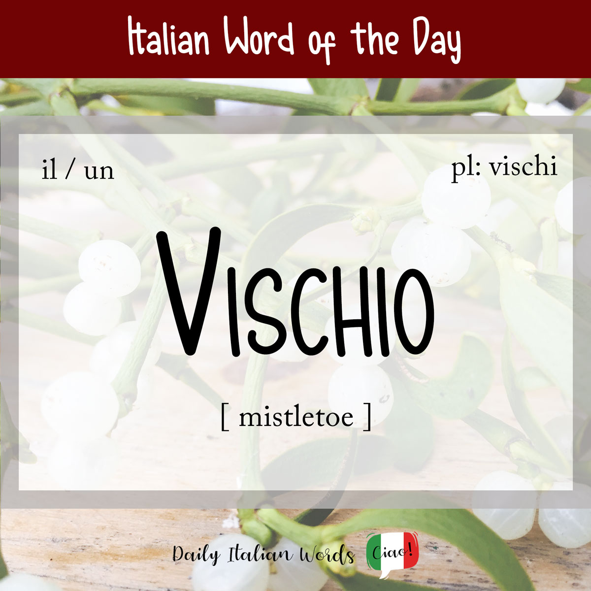 Italian Phrase of the Day: Vischio (mistletoe)