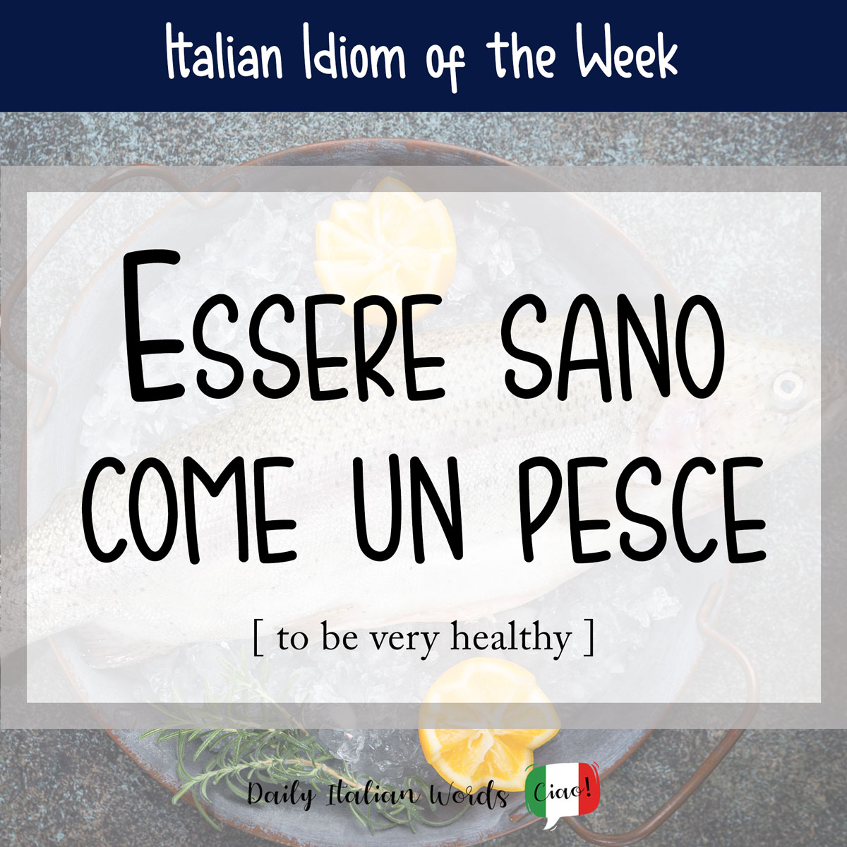 Italian idiom "Essere sano come un pesce"
