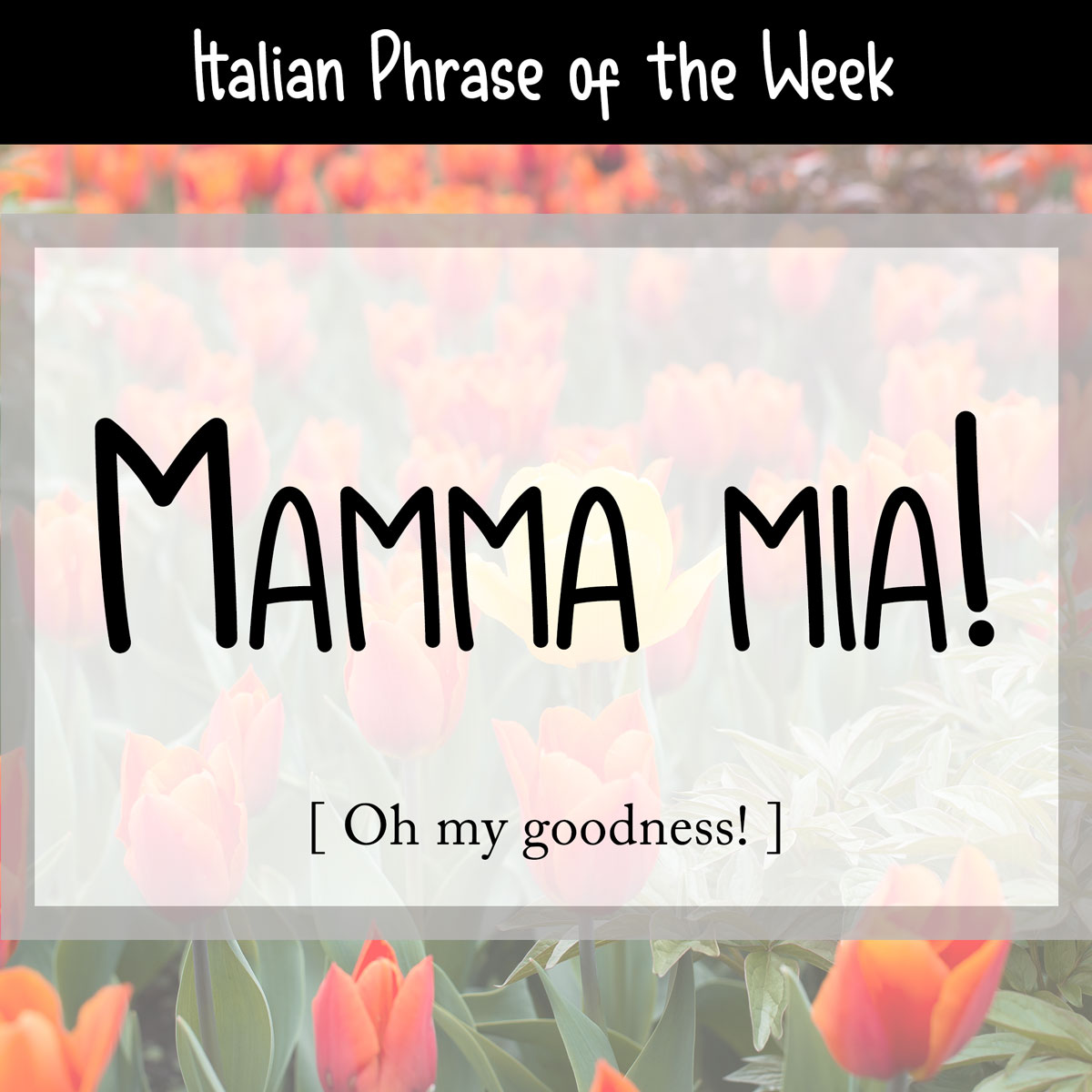 The Meaning of Mamma mia! in Italian (Oh my goodness!) - Daily Italian  Words