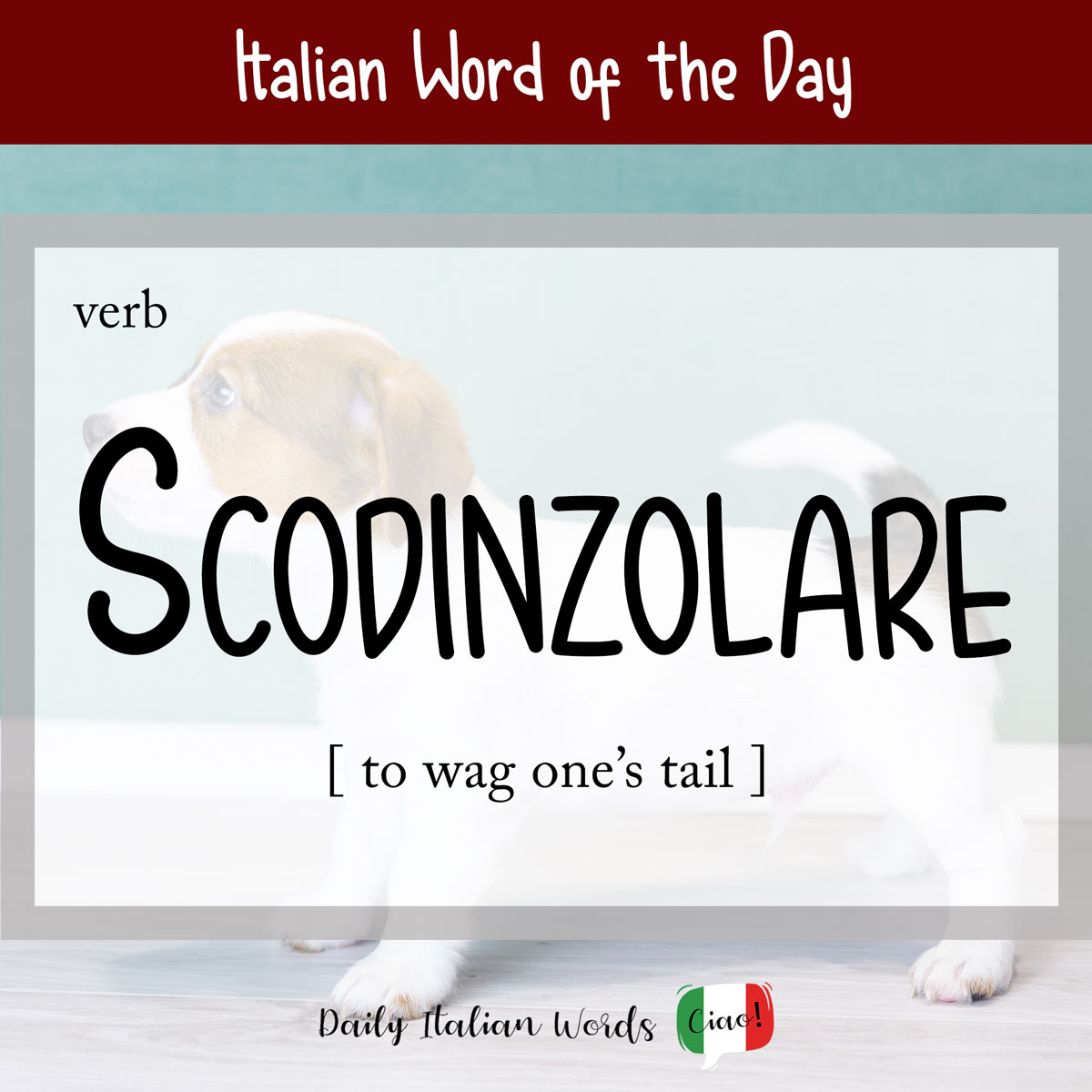 Italian verb 'scodinzolare'
