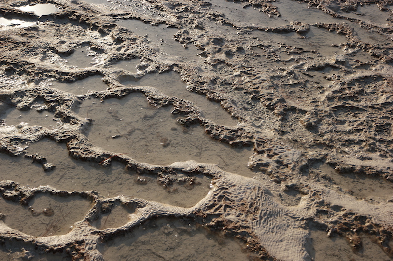 Italian Word of the Day: Fango (mud) - Daily Italian Words