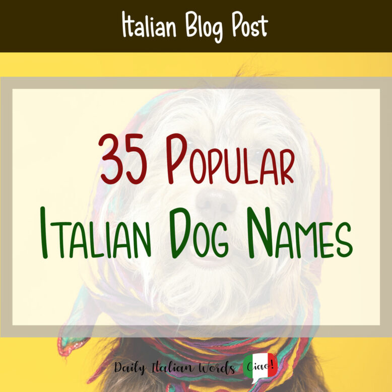 35 Popular Italian Dog Names