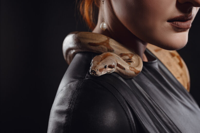 Close up portrait of sexy woman with snake in latex outfit. Redhair model with fashion make up. Beauty close up studio shot. jewelry earrings