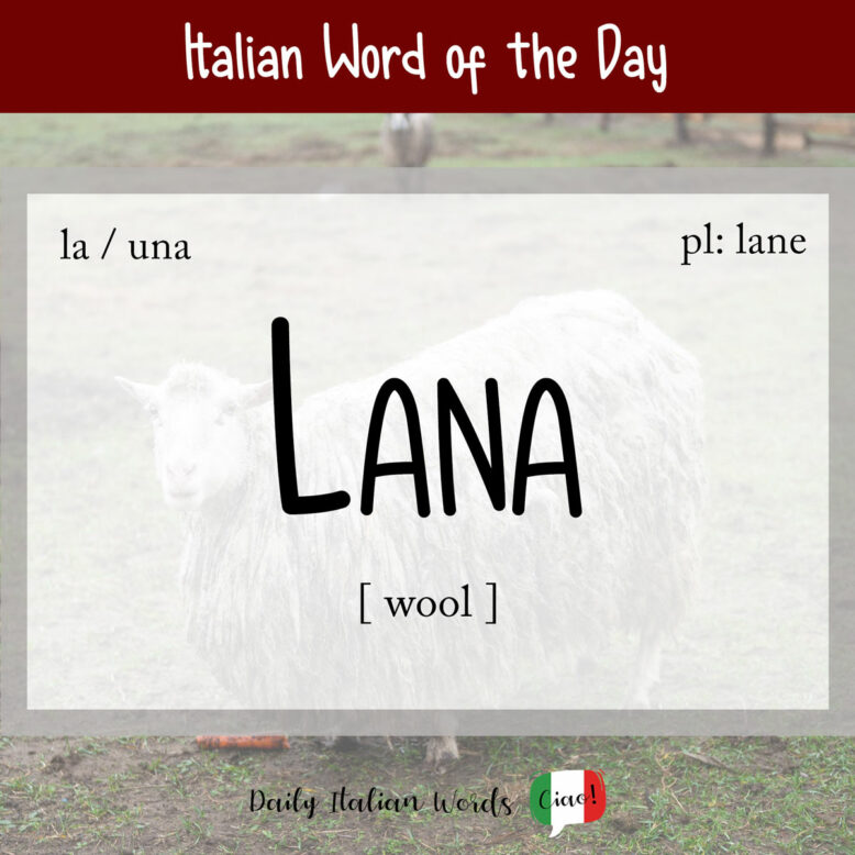lana italian word