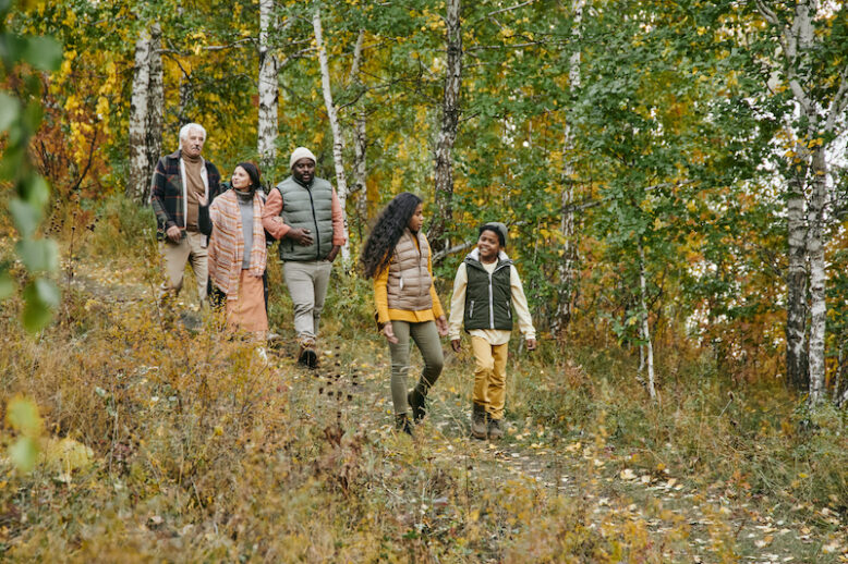 Large interracial family in casualwear interacting with each other while taking walk in autumn forest on weekend