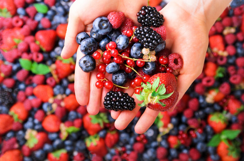 Woman hands holding fresh mixed berries.