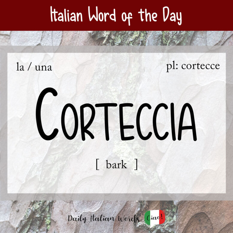Italian word "corteccia"