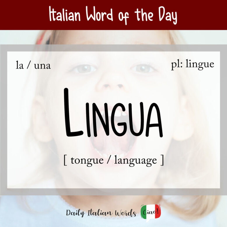 Italian word "lingua"